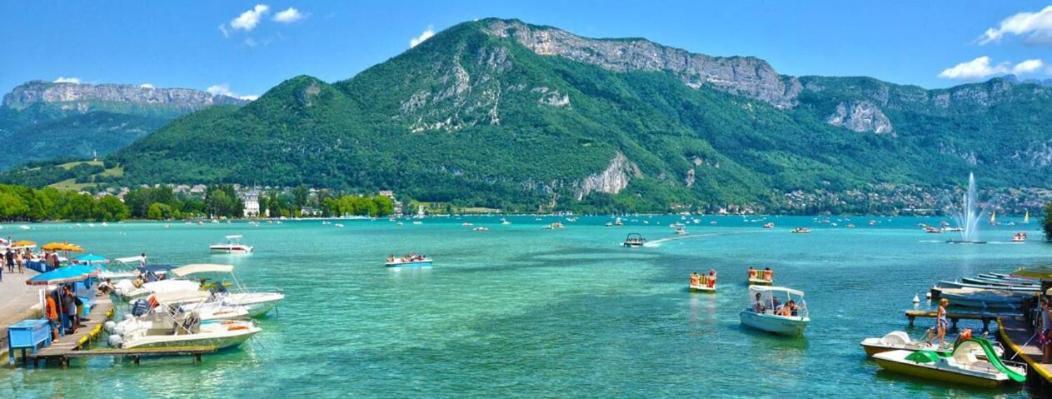 Appartement Atypique Au Coeur Des Alpes Barraux Ngoại thất bức ảnh